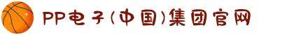 PP电子(中国)集团官网